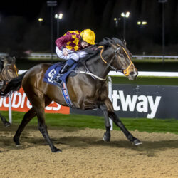 Northgate Lodge Stables